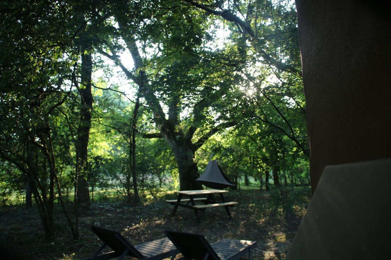 Ecolodge Beauregard Treigny Exterior photo