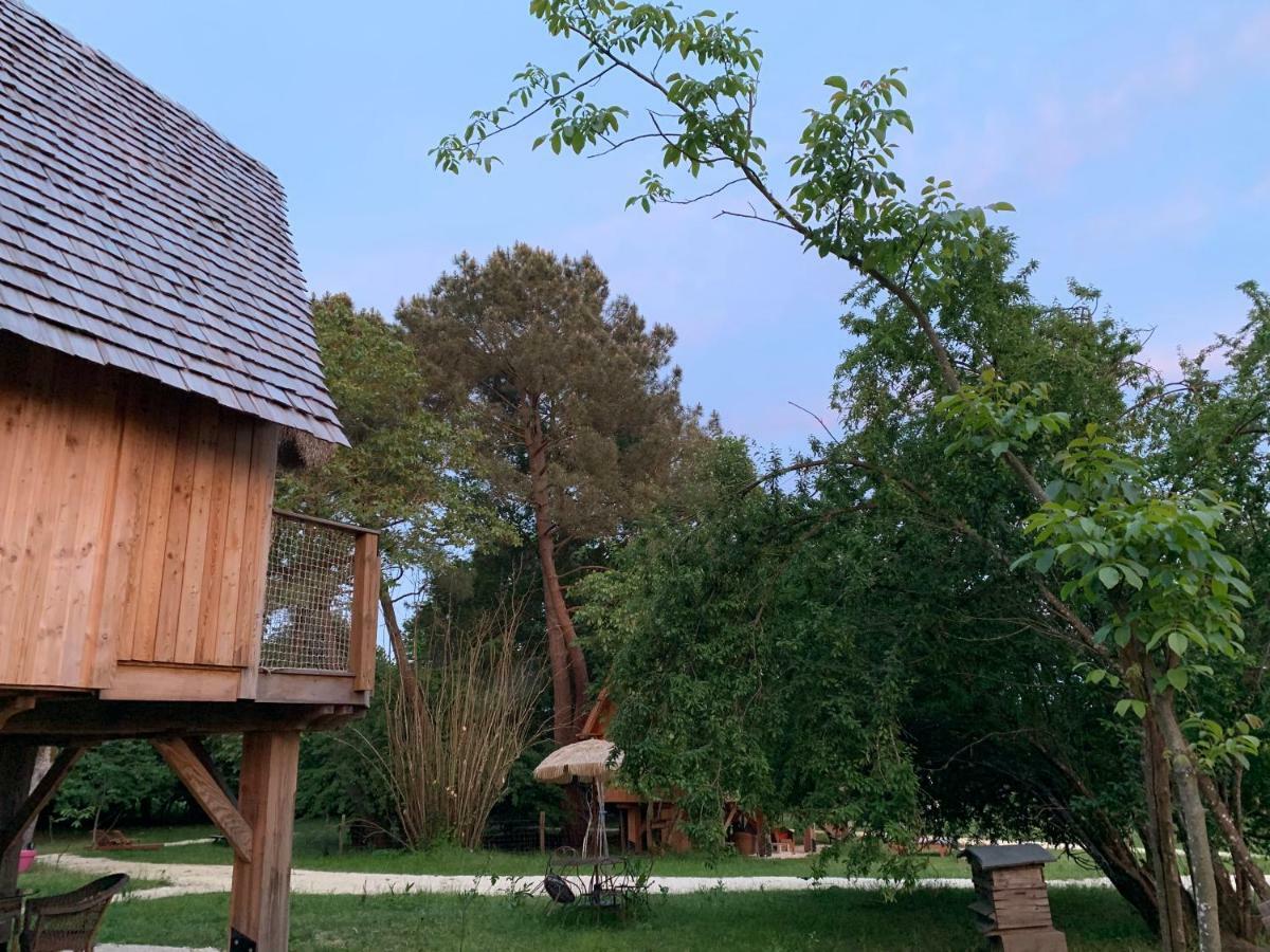 Ecolodge Beauregard Treigny Exterior photo